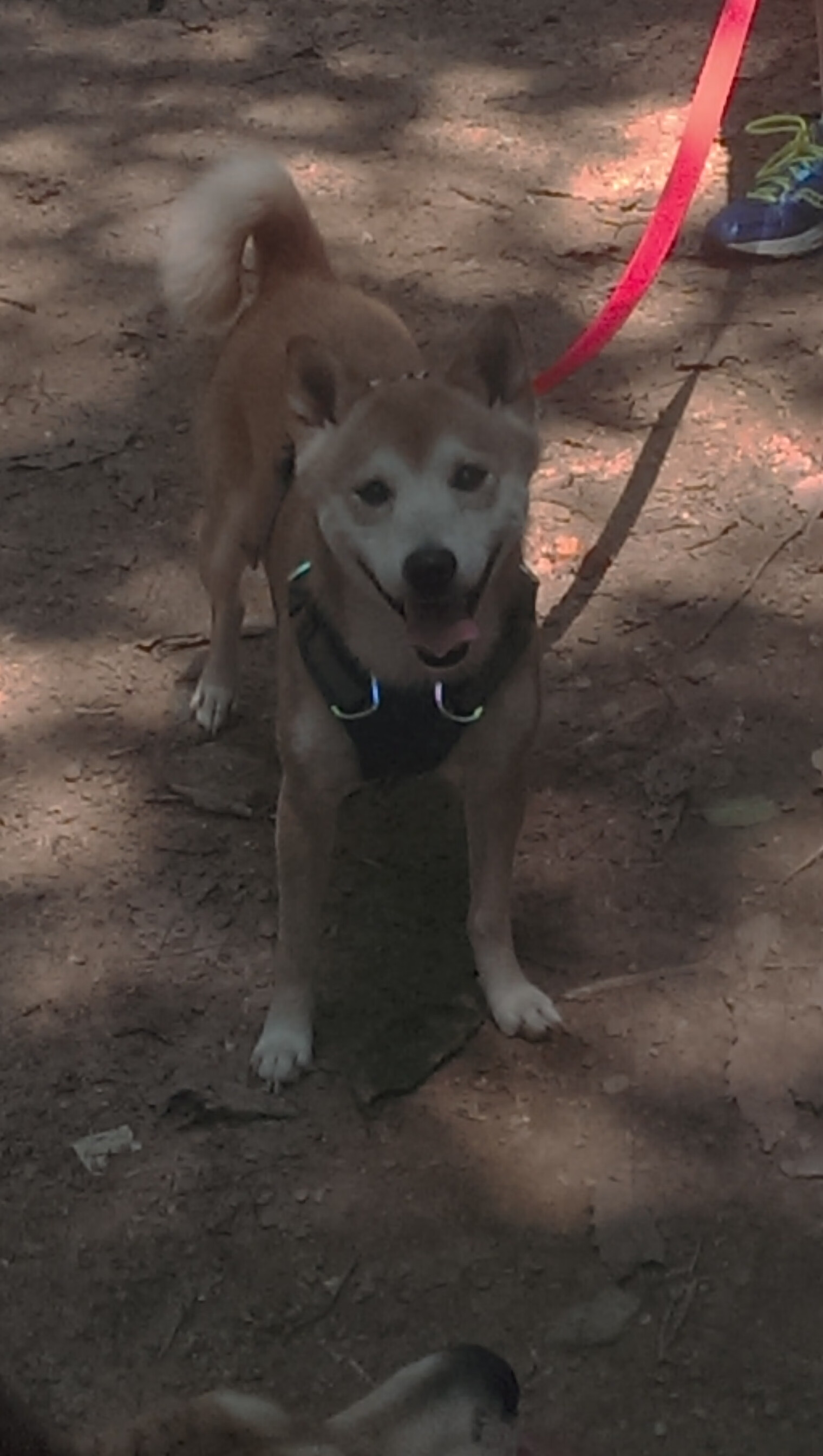 _漂浮水上运动节：水面之上的运动奇迹_，水上漂浮物有哪些物品