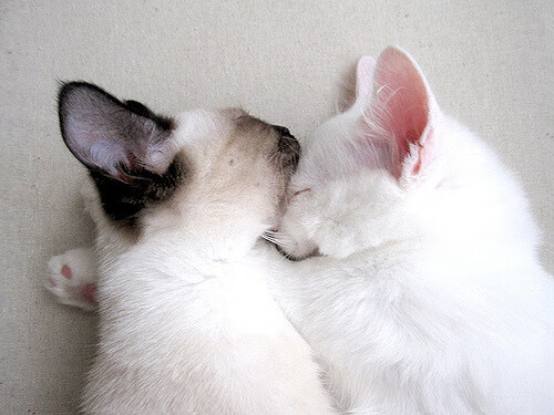 九游登录入口-【比赛纪录】最快破局：纪录背后的精彩故事，打破纪录破记录区别