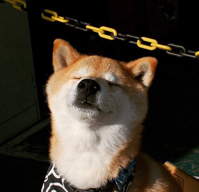 九游网页版官网入口-在季后赛对阵开拓者的比赛中，蒂伊多次用“铁壁”封堵对手关键上篮，成为球队“后防屏障”！