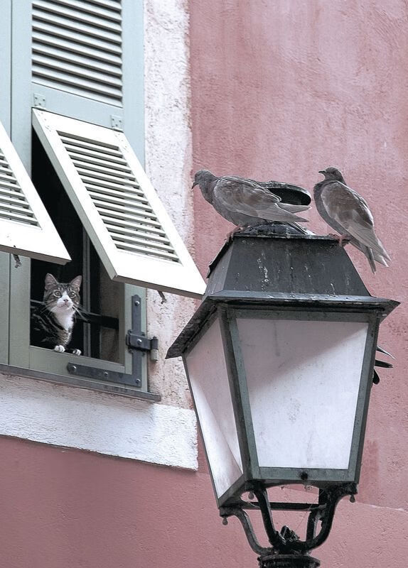 九游电脑版-绝杀战魂：欧冠赛场最难忘的终场进球，决战欧冠