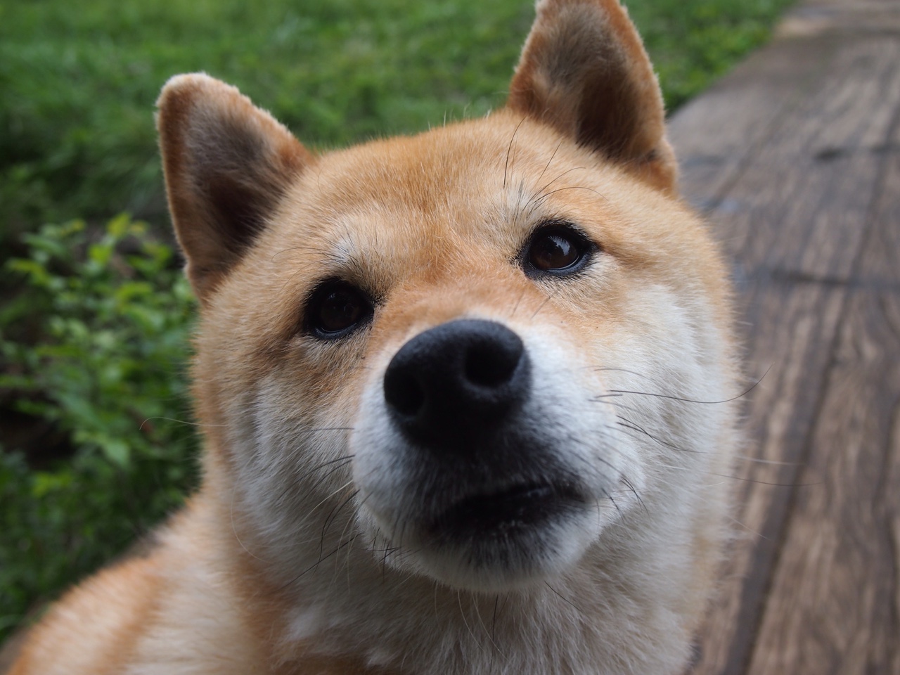 女足比赛赛季完美收官,选手交相辉映,女足的比赛