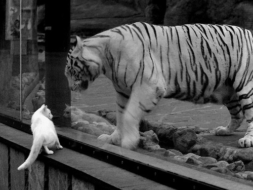 九游娱乐(jiuyou)官方网站-篮球运动员比赛心理调节，篮球心理训练方法