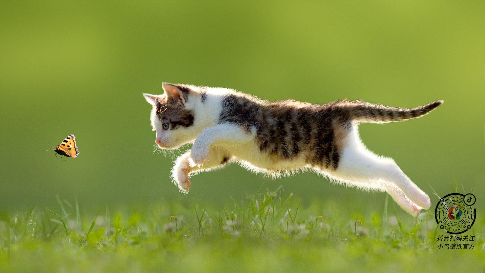 九游(jiuyou)官方网站-中国三人篮球男队提升阵地防守韧性，中国队三人篮球队员