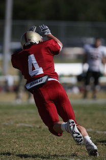 九游官网pc-五大联赛争四阶段关键球员贡献值差异对比，五大联赛引援