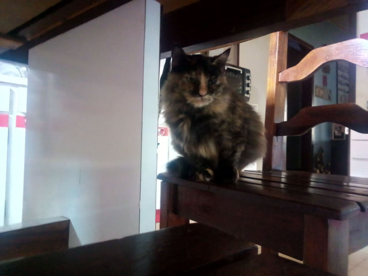 九游网页版官网-德甲火力全开：攻势如潮，精彩纷呈！，德甲 ds