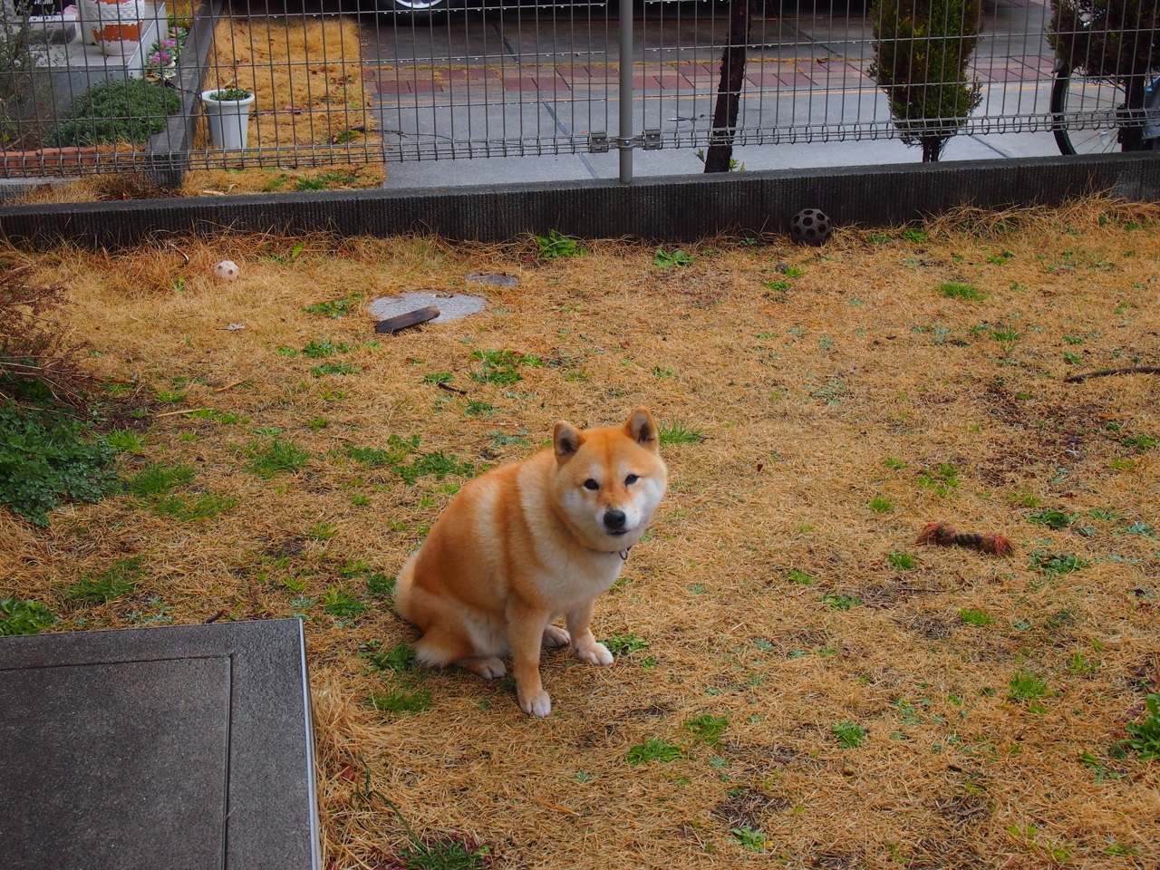 九游登录入口-西甲攻防转换：精彩不断，高潮迭起，西甲防守强度